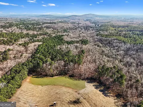 0 Vineyard Rd, Thomaston, GA 30286 photo 10