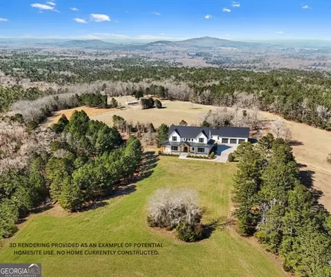 0 Vineyard Rd, Thomaston, GA 30286