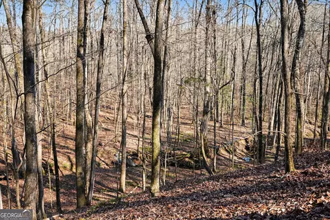 0 Vineyard Rd, Thomaston, GA 30286 photo 13