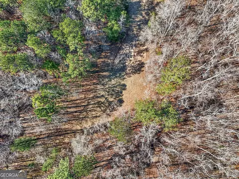 0 Vineyard Rd, Thomaston, GA 30286 photo 17