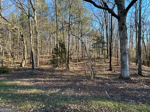 0 Vineyard Rd, Thomaston, GA 30286 photo 40