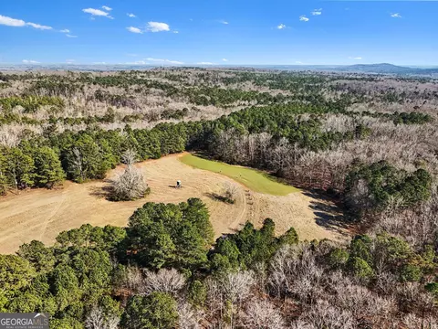 0 Vineyard Rd, Thomaston, GA 30286 photo 4