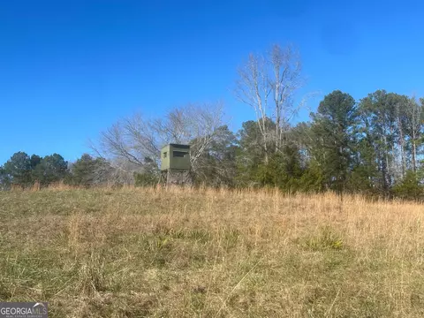 0 Vineyard Rd, Thomaston, GA 30286 photo 35