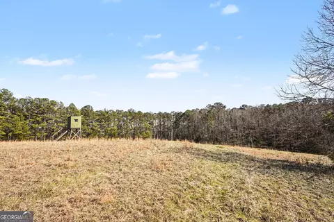 0 Vineyard Rd, Thomaston, GA 30286 photo 16