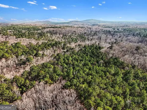 0 Vineyard Rd, Thomaston, GA 30286 photo 19