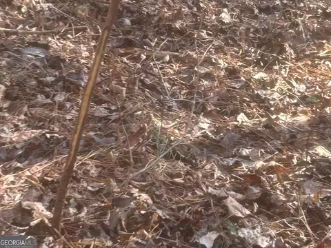 0 Vineyard Rd, Thomaston, GA 30286 photo 38