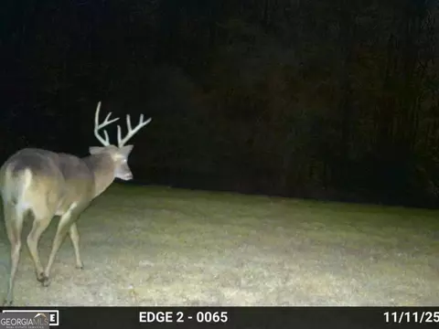 0 Vineyard Rd, Thomaston, GA 30286 photo 34
