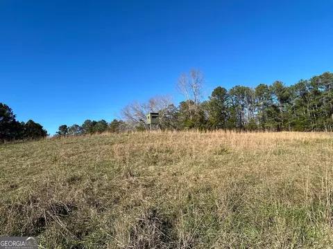 0 Vineyard Rd, Thomaston, GA 30286 photo 36