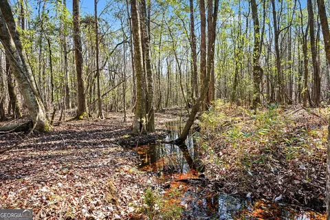 0 Vineyard Rd, Thomaston, GA 30286 photo 11