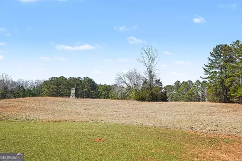 0 Vineyard Rd, Thomaston, GA 30286 photo 14