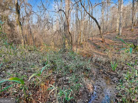 0 Logtown Rd, Thomaston, GA 30286 photo 7