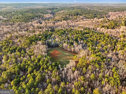 0 Logtown Rd, Thomaston, GA 30286 photo 11