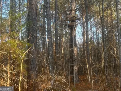 0 Logtown Rd, Thomaston, GA 30286 photo 31