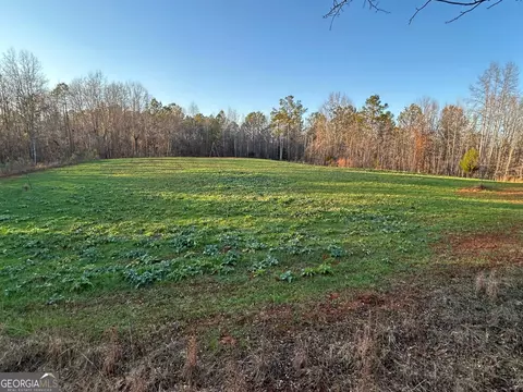 0 Logtown Rd, Thomaston, GA 30286 photo 33