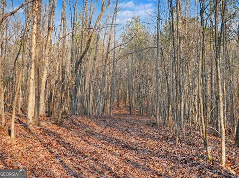 0 Logtown Rd, Thomaston, GA 30286 photo 2