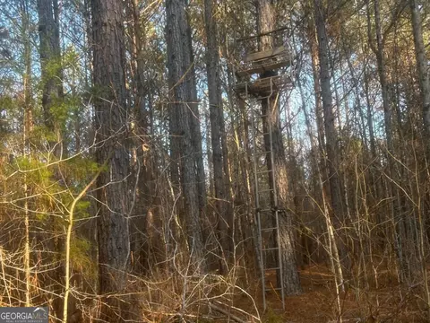 0 Logtown Rd, Thomaston, GA 30286 photo 30