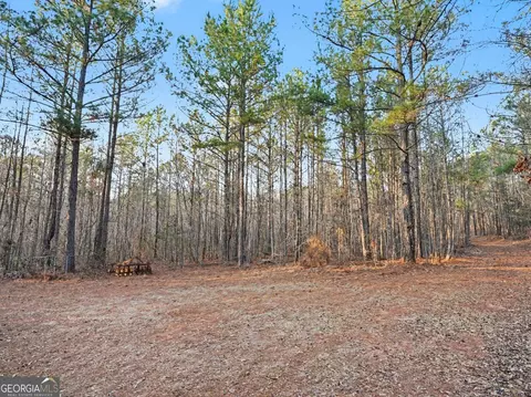 0 Logtown Rd, Thomaston, GA 30286 photo 3