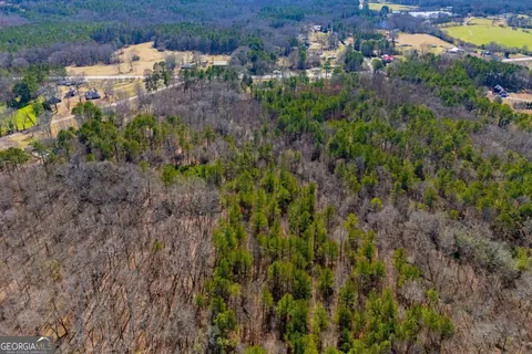 0 Hwy 166 E - 21 Acres E, Bowdon, GA 30108 photo 9