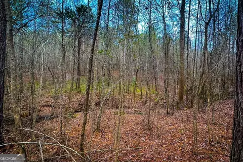 0 Hwy 166 E - 21 Acres E, Bowdon, GA 30108 photo 20