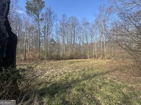 369 Thompson Ln, Jasper, GA 30143