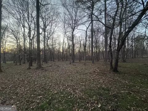 373 Thompson Ln, Jasper, GA 30143 photo 6