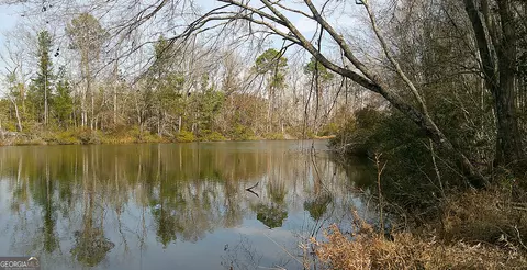 35 Barwick Kea Rd, Adrian, GA 31002