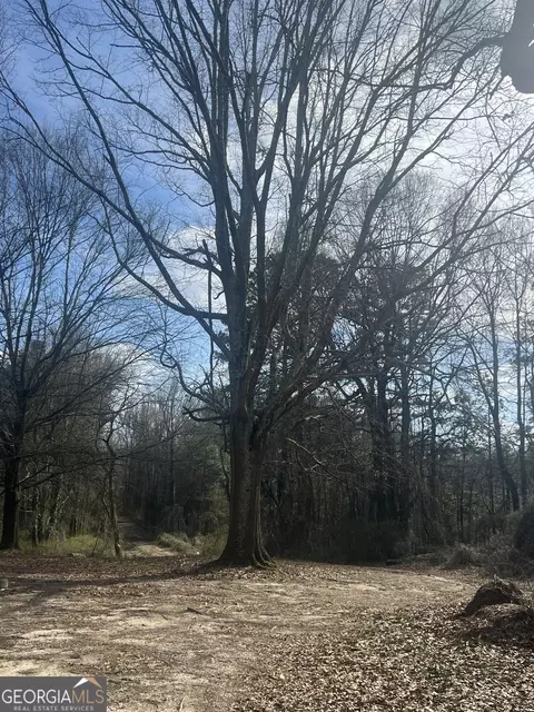 98 Pine Shadows Dr, Dallas, GA 30157