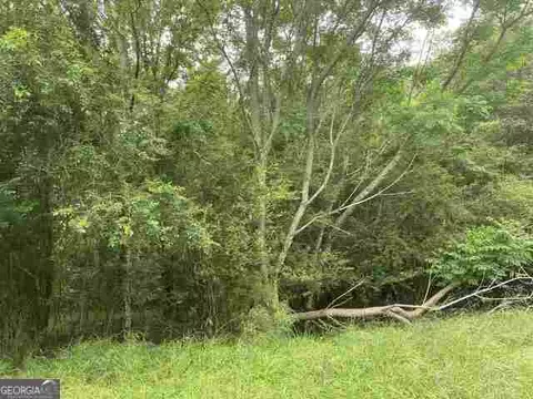0 River Birch Ln #LOT 9, Colbert, GA 30628