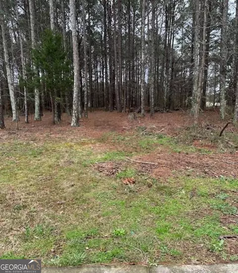 Other - 2791 Old Mill Rd, Rutledge, GA 30663 photo 2 of 14