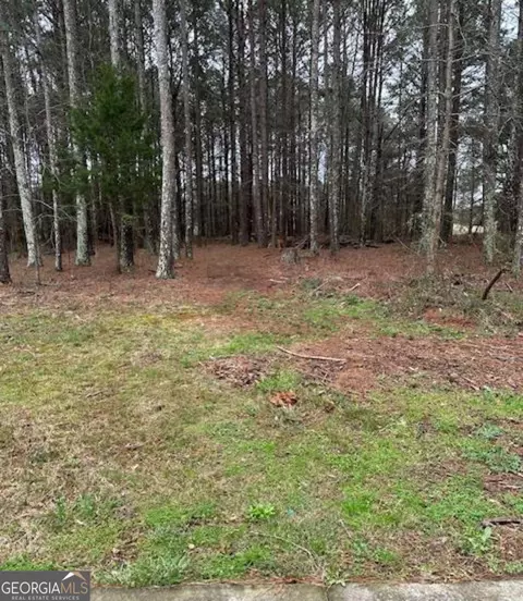 Other - 2791 Old Mill Rd, Rutledge, GA 30663 photo 14 of 14