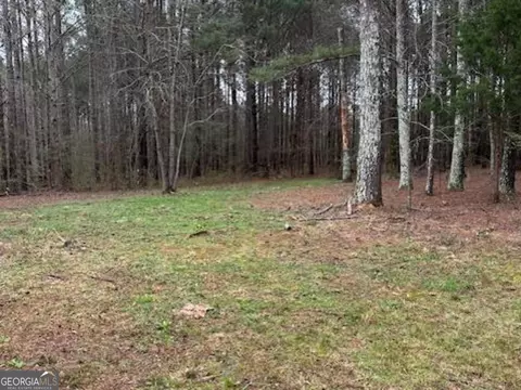 Other - 2791 Old Mill Rd, Rutledge, GA 30663 photo 13 of 14