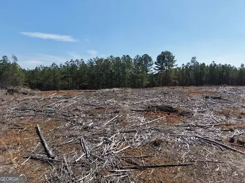 0 Young Loop #7206 PARCEL B, Fairmount, GA 30139 photo 13