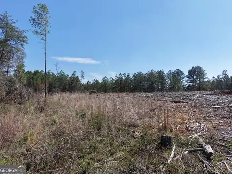 0 Young Loop #7206 PARCEL B, Fairmount, GA 30139 photo 6