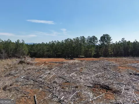 0 Young Loop #7206 PARCEL B, Fairmount, GA 30139 photo 17