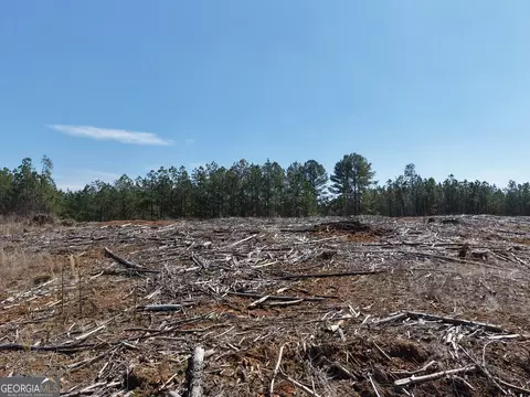 0 Young Loop #7206 PARCEL B, Fairmount, GA 30139 photo 12