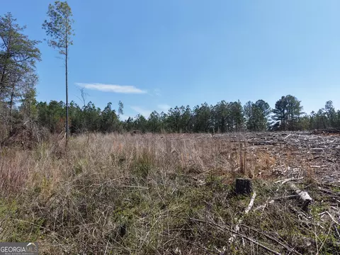 0 Young Loop #7206 PARCEL B, Fairmount, GA 30139 photo 7