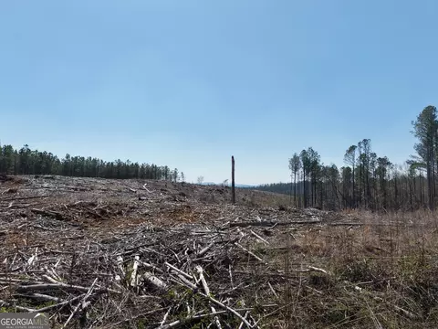 0 Young Loop #7206 PARCEL B, Fairmount, GA 30139 photo 4