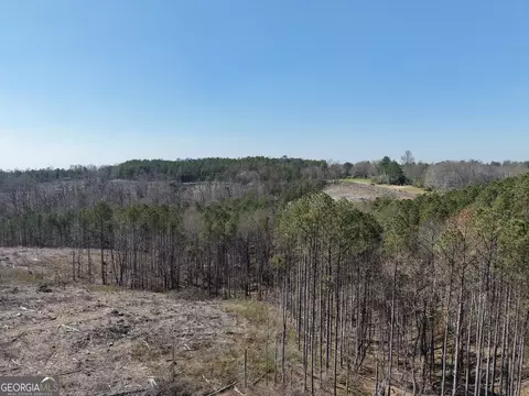 0 Young Loop #7206 PARCEL B, Fairmount, GA 30139 photo 24