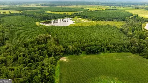 0 Canoochee Rd, Cobbtown, GA 30420