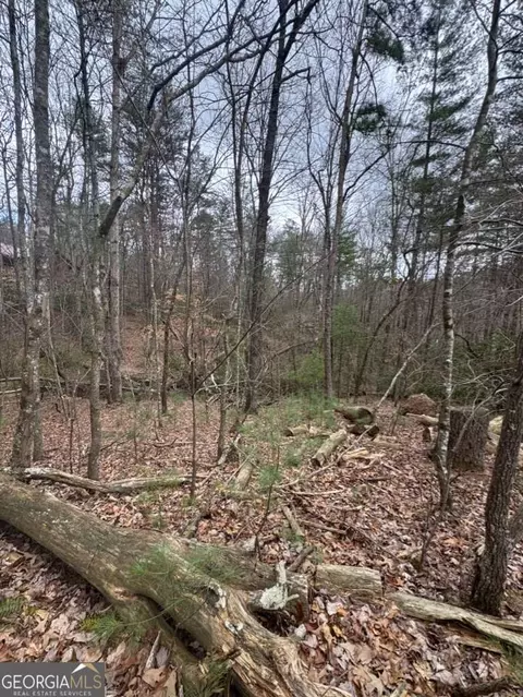lot16 R Leatherwood Mountain Rd, Cherry Log, GA 30522