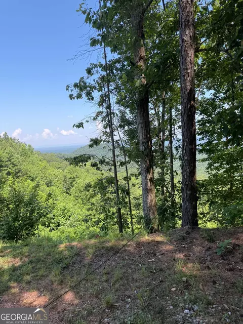 1588 Paladin Dr, Ranger, GA 30734