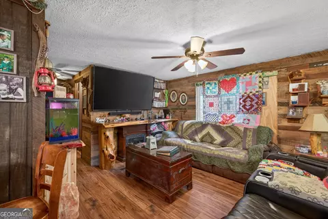 Living - 1719 Harber Rd, Carnesville, GA 30521 photo 4 of 5