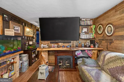 Living - 1719 Harber Rd, Carnesville, GA 30521 photo 2 of 5