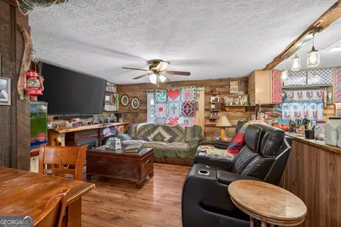 Living - 1719 Harber Rd, Carnesville, GA 30521 photo 1 of 5