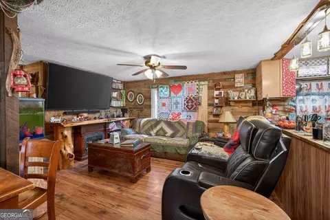 Living - 1719 Harber Rd, Carnesville, GA 30521 photo 3 of 5