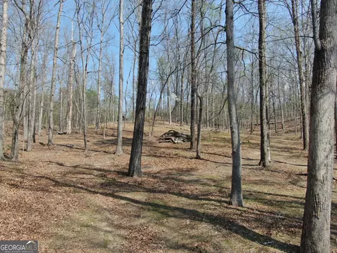 918 Purvis Rd, Baldwin, GA 30511 photo 13
