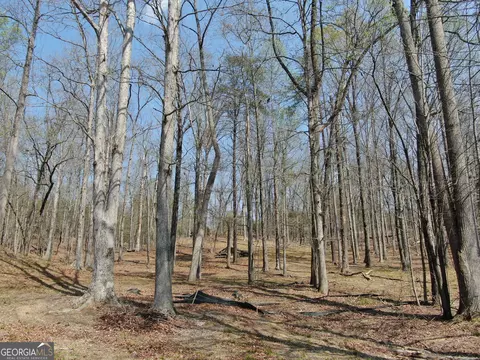 918 Purvis Rd, Baldwin, GA 30511 photo 10