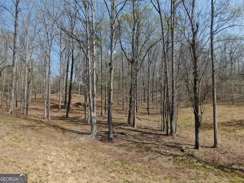 918 Purvis Rd, Baldwin, GA 30511 photo 9