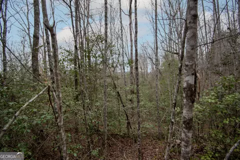 Undisclosed, Murphy, NC 28906