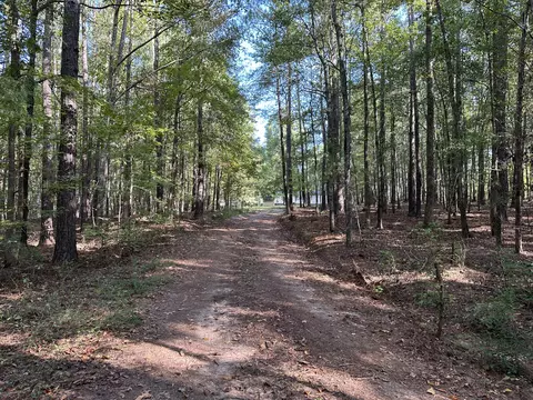 707 Pebblebrook Rd #10.26 ACRES, Woodbury, GA 30293